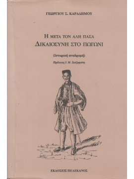 Η μετά τον Αλή Πασά δικαιοσύνη στο Πωγώνι, Καραδήμος Γεώργιος Σ